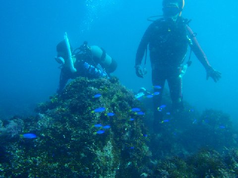 �ɓ������ʐ^�@�N���b�N�ő傫���Ȃ�܂�