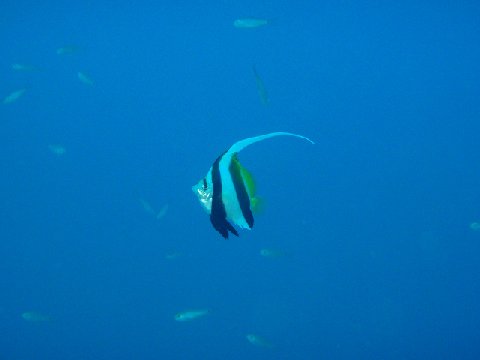 �ɓ������ʐ^�@�N���b�N�ő傫���Ȃ�܂�