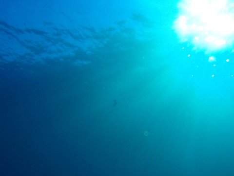 �ɓ������ʐ^�@�N���b�N�ő傫���Ȃ�܂�