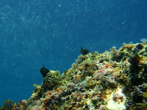 �ɓ������ʐ^�@�N���b�N�ő傫���Ȃ�܂�