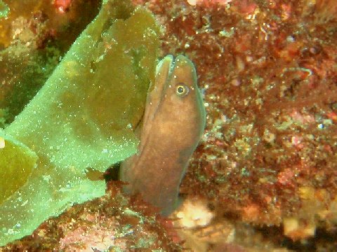 �ɓ������ʐ^�@�N���b�N�ő傫���Ȃ�܂�