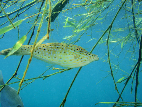 �ɓ������ʐ^�@�N���b�N�ő傫���Ȃ�܂�