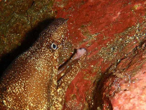 �ɓ������ʐ^�@�N���b�N�ő傫���Ȃ�܂�