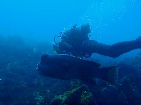 �ɓ������ʐ^�@�N���b�N�ő傫���Ȃ�܂�