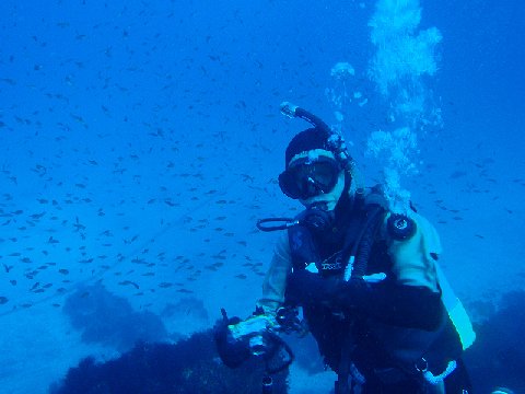 �ɓ������ʐ^�@�N���b�N�ő傫���Ȃ�܂�