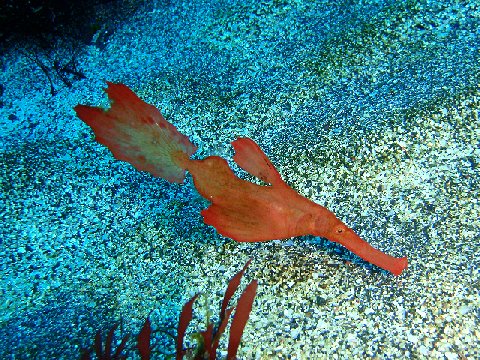 �ɓ������ʐ^�@�N���b�N�ő傫���Ȃ�܂�