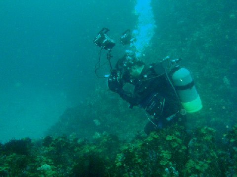 �ɓ������ʐ^�@�N���b�N�ő傫���Ȃ�܂�