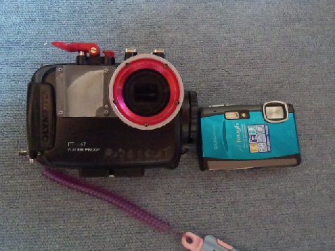 �ɓ������ʐ^�@�N���b�N�ő傫���Ȃ�܂�