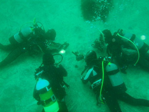 �ɓ������ʐ^�@�N���b�N�ő傫���Ȃ�܂�