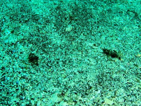 �ɓ������ʐ^�@�N���b�N�ő傫���Ȃ�܂�