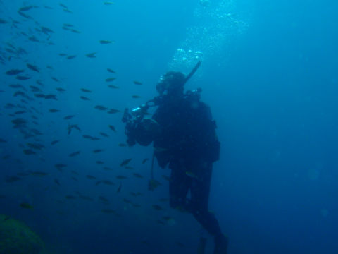 �ɓ������ʐ^�@�N���b�N�ő傫���Ȃ�܂�