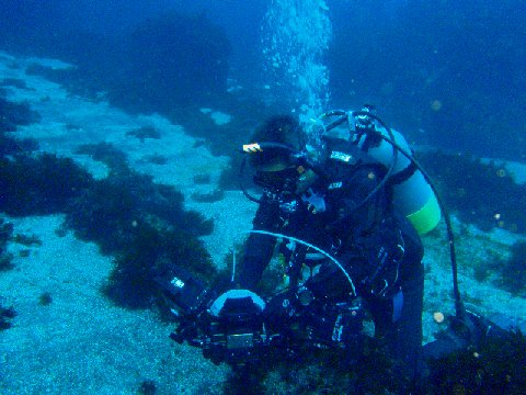 �ɓ������ʐ^�@�N���b�N�ő傫���Ȃ�܂�