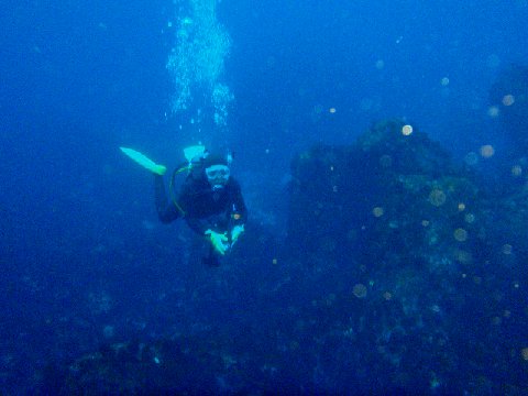 �ɓ������ʐ^�@�N���b�N�ő傫���Ȃ�܂�