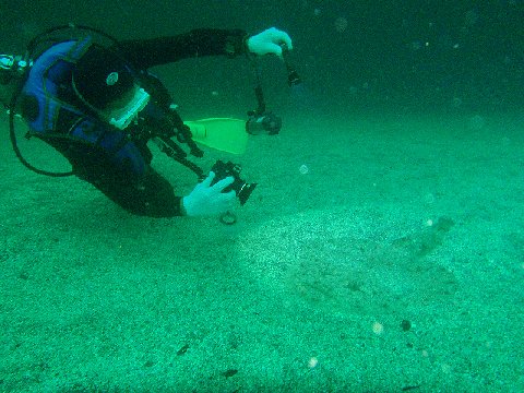 �ɓ������ʐ^�@�N���b�N�ő傫���Ȃ�܂�