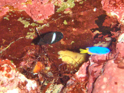 �ɓ������ʐ^�@�N���b�N�ő傫���Ȃ�܂�