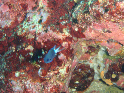 �ɓ������ʐ^�@�N���b�N�ő傫���Ȃ�܂�