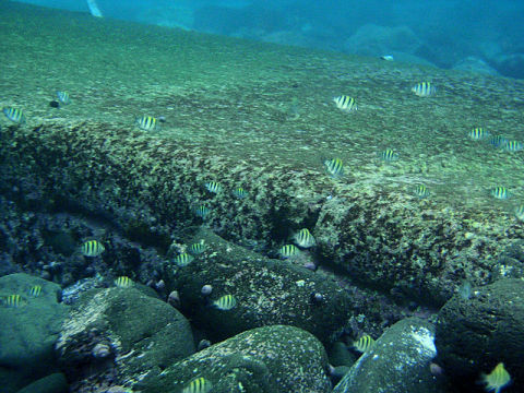 �ɓ������ʐ^�@�N���b�N�ő傫���Ȃ�܂�