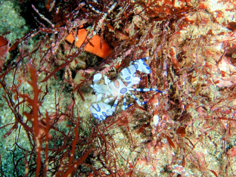 �ɓ������ʐ^�@�N���b�N�ő傫���Ȃ�܂�