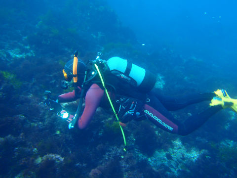 �ɓ������ʐ^�@�N���b�N�ő傫���Ȃ�܂�