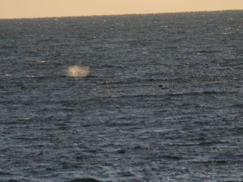 �ɓ������ʐ^�@�N���b�N�ő傫���Ȃ�܂�