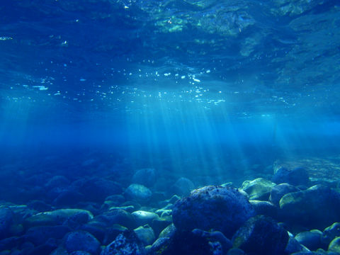 �ɓ������ʐ^�@�N���b�N�ő傫���Ȃ�܂�