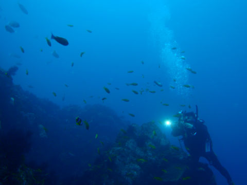 �ɓ������ʐ^�@�N���b�N�ő傫���Ȃ�܂�