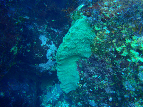 �ɓ������ʐ^�@�N���b�N�ő傫���Ȃ�܂�