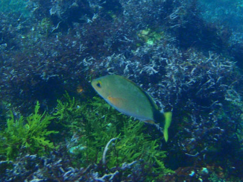 �ɓ������ʐ^�@�N���b�N�ő傫���Ȃ�܂�