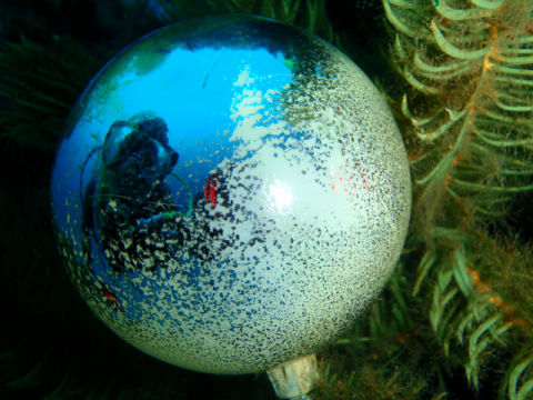 �ɓ������ʐ^�@�N���b�N�ő傫���Ȃ�܂�