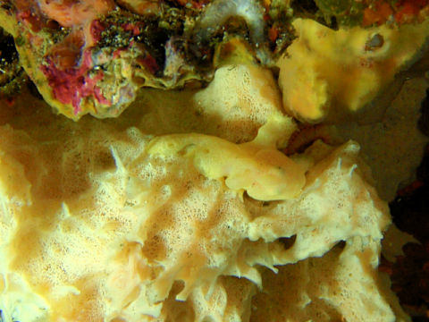 �ɓ������ʐ^�@�N���b�N�ő傫���Ȃ�܂�