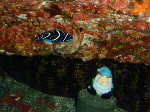 �ɓ������ʐ^�@�N���b�N�ő傫���Ȃ�܂�