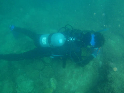 �ɓ������ʐ^�@�N���b�N�ő傫���Ȃ�܂�