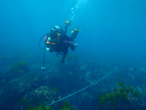 �ɓ������ʐ^�@�N���b�N�ő傫���Ȃ�܂�