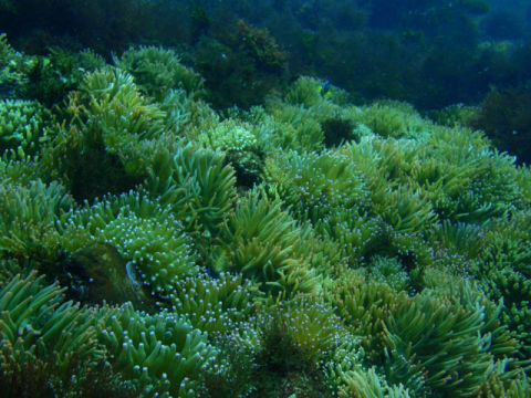 �ɓ������ʐ^�@�N���b�N�ő傫���Ȃ�܂�