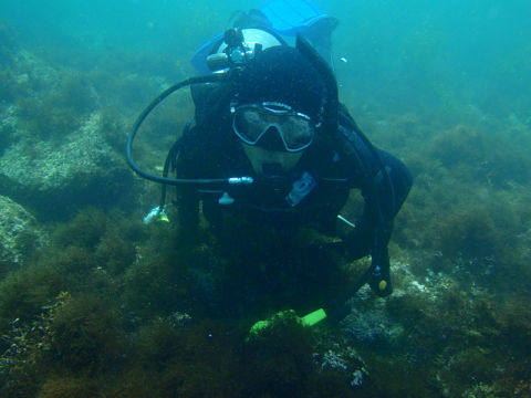 �ɓ������ʐ^�@�N���b�N�ő傫���Ȃ�܂�