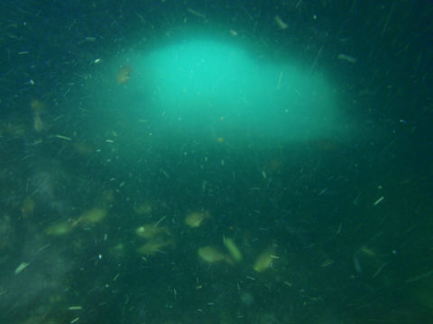 �ɓ������ʐ^�@�N���b�N�ő傫���Ȃ�܂�