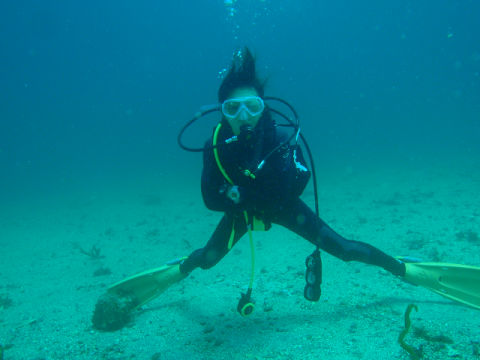 �ɓ������ʐ^�@�N���b�N�ő傫���Ȃ�܂�