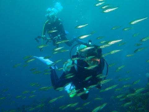 �ɓ������ʐ^�@�N���b�N�ő傫���Ȃ�܂�