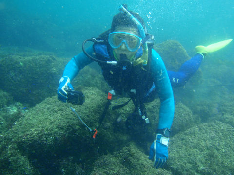 �ɓ������ʐ^�@�N���b�N�ő傫���Ȃ�܂�