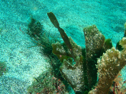 �ɓ������ʐ^�@�N���b�N�ő傫���Ȃ�܂�