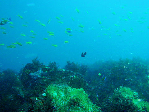 �ɓ������ʐ^�@�N���b�N�ő傫���Ȃ�܂�