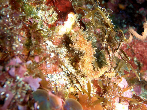 �ɓ������ʐ^�@�N���b�N�ő傫���Ȃ�܂�