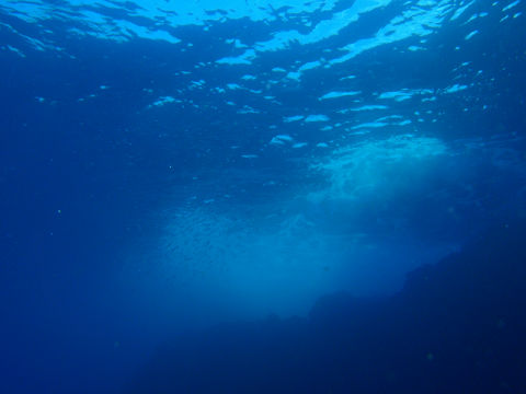 �ɓ������ʐ^�@�N���b�N�ő傫���Ȃ�܂�