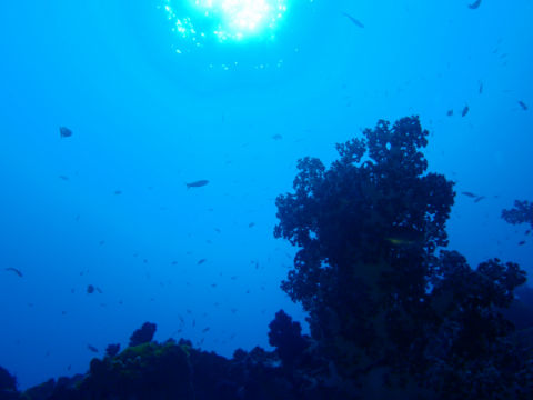 �ɓ������ʐ^�@�N���b�N�ő傫���Ȃ�܂�