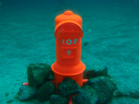 �ɓ������ʐ^�@�N���b�N�ő傫���Ȃ�܂�