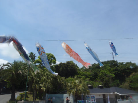 �ɓ������ʐ^�@�N���b�N�ő傫���Ȃ�܂�