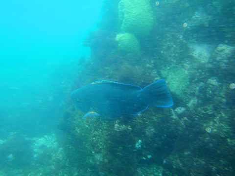 �ɓ������ʐ^�@�N���b�N�ő傫���Ȃ�܂�