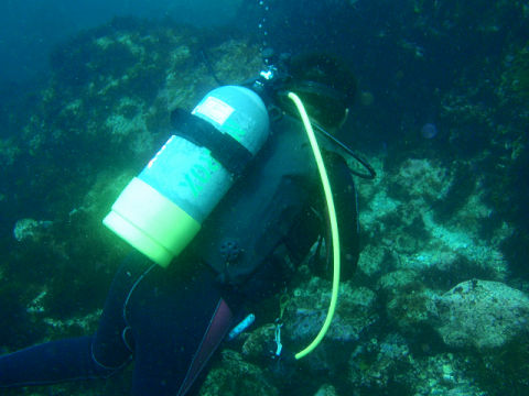 �ɓ������ʐ^�@�N���b�N�ő傫���Ȃ�܂�