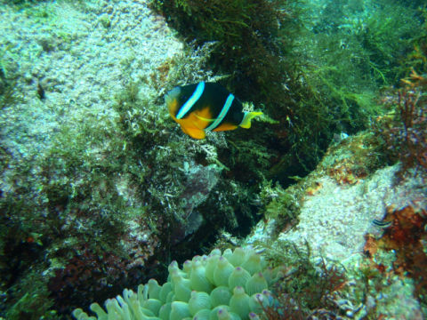 �ɓ������ʐ^�@�N���b�N�ő傫���Ȃ�܂�