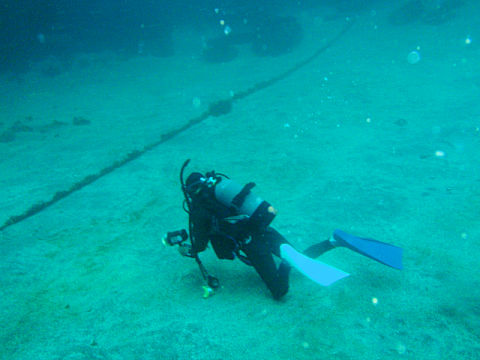 �ɓ������ʐ^�@�N���b�N�ő傫���Ȃ�܂�